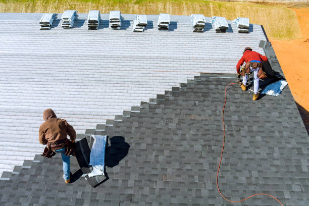 Best Roof Ventilation Installation  in Fayette, AL